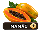 Mamão